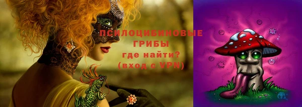 спиды Кодинск