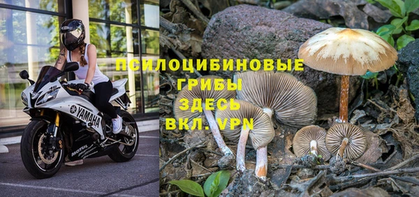 альфа пвп Козловка