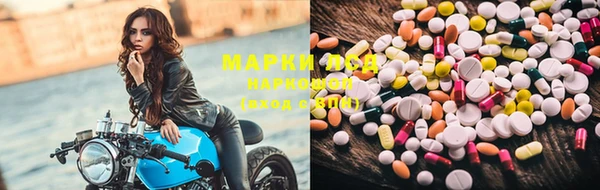 спиды Кодинск